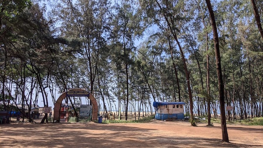 Tannirbhavi Beach
